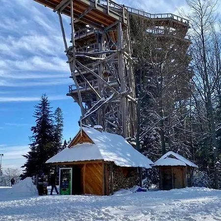 Alpejskie House Krynica Zdroj