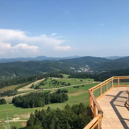 Alpejskie House Domek alpejski Krynica-Zdrój