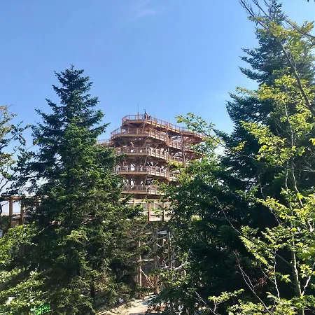 Domek alpejski Alpejskie House