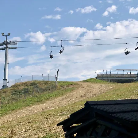 Σαλέ Alpejskie House Krynica Zdroj