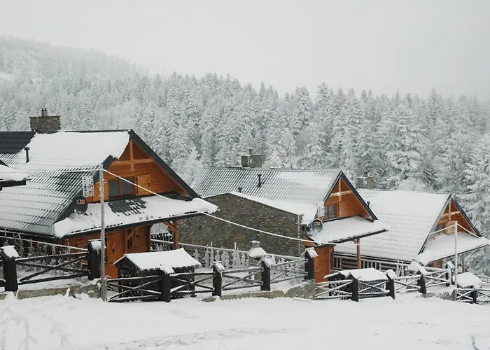 Alpejskie House Σαλέ Krynica Zdroj